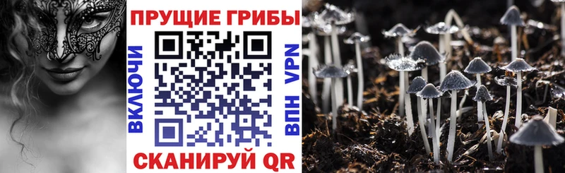 Галлюциногенные грибы ЛСД  Шахунья 